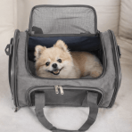 Bolsa Transporte Pet Portátil Respirável Conforto Premium para Viagens Passeios Cães Gatos - Image 8